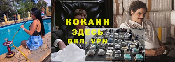гидра Алексин