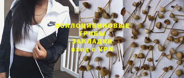 гидра Алексин